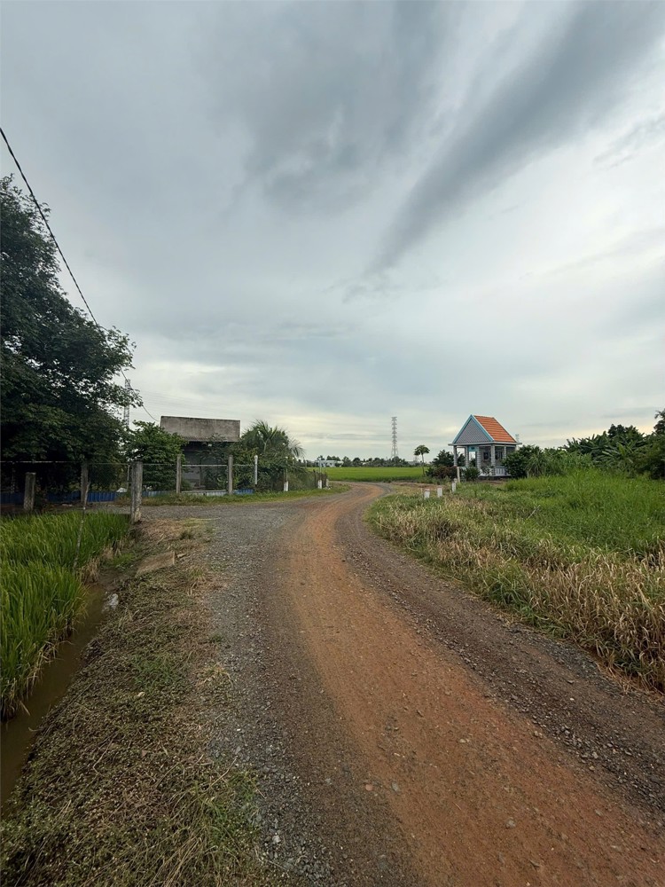 Đất Chính Chủ - Giá Tốt Cần Bán Tại Bờ Mồi, Xã Phước Tuy, Huyện Cần Đước, Long An