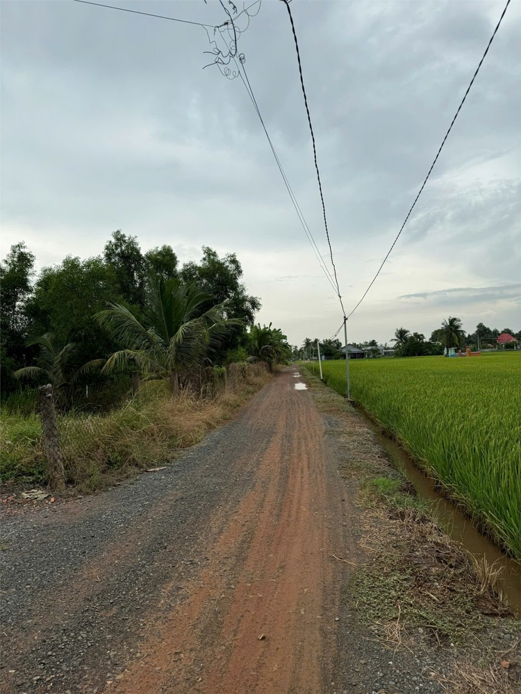 Đất Chính Chủ - Giá Tốt Cần Bán Tại Bờ Mồi, Xã Phước Tuy, Huyện Cần Đước, Long An