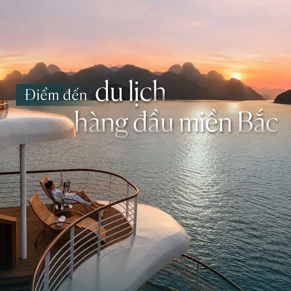 Căn Góc 2Pn Prima Bay: Tài Sản Kép Vừa Nghỉ Dưỡng Vừa Khai Thác Homestay Cực Tốt!