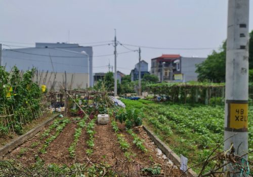 Lô Đất Hiếm Lại Yên, Hoài Đức – Gần Hồ, Đường Ô Tô, Phù Hợp Ở Và Đầu Tư