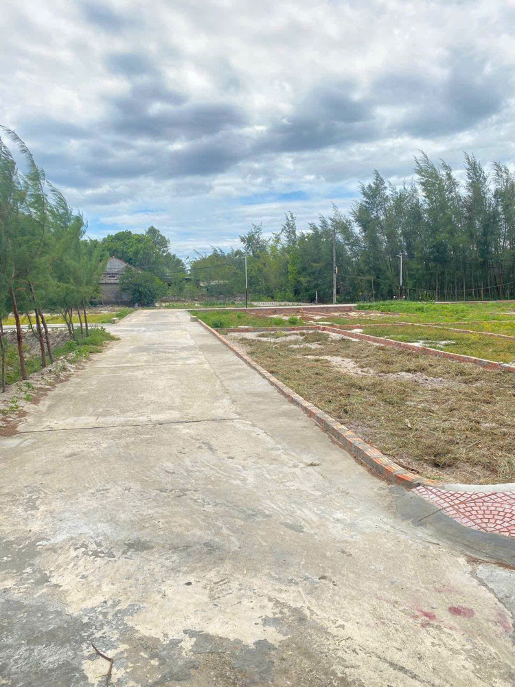 Bán Gấp Giá Rẻ Đất Triệu Phong 100M, Mặt Tiền 5M, 500 Triệu Quảng Trị