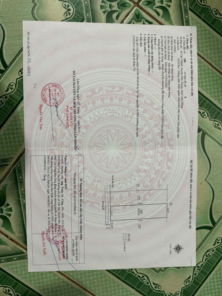 Cần Bán Đất Đẹp Tân Hội – Lâm Đồng