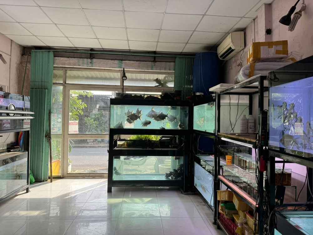 [D2896] Nhà Mt Kd Sát Bv Hoàn Mỹ Thủ Đức, 5.X Tỷ
