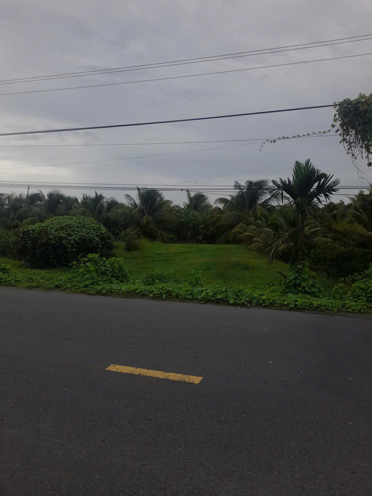 Đất Đẹp- Giá Tốt Chính Chủ Bán Nhanh Lô Đất Đầu Tư Là Sinh Lời Tại Huyện Cầu Kè, Tỉnh Trà Vinh