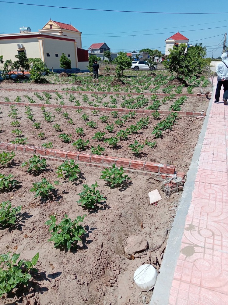 –2 Tỷ – Đón Sóng Đất Biển Hải Xuân: Đi Trước Một Bước, Chọn Lô Đẹp Trước! Mua Đất – Đón Cả Dòn