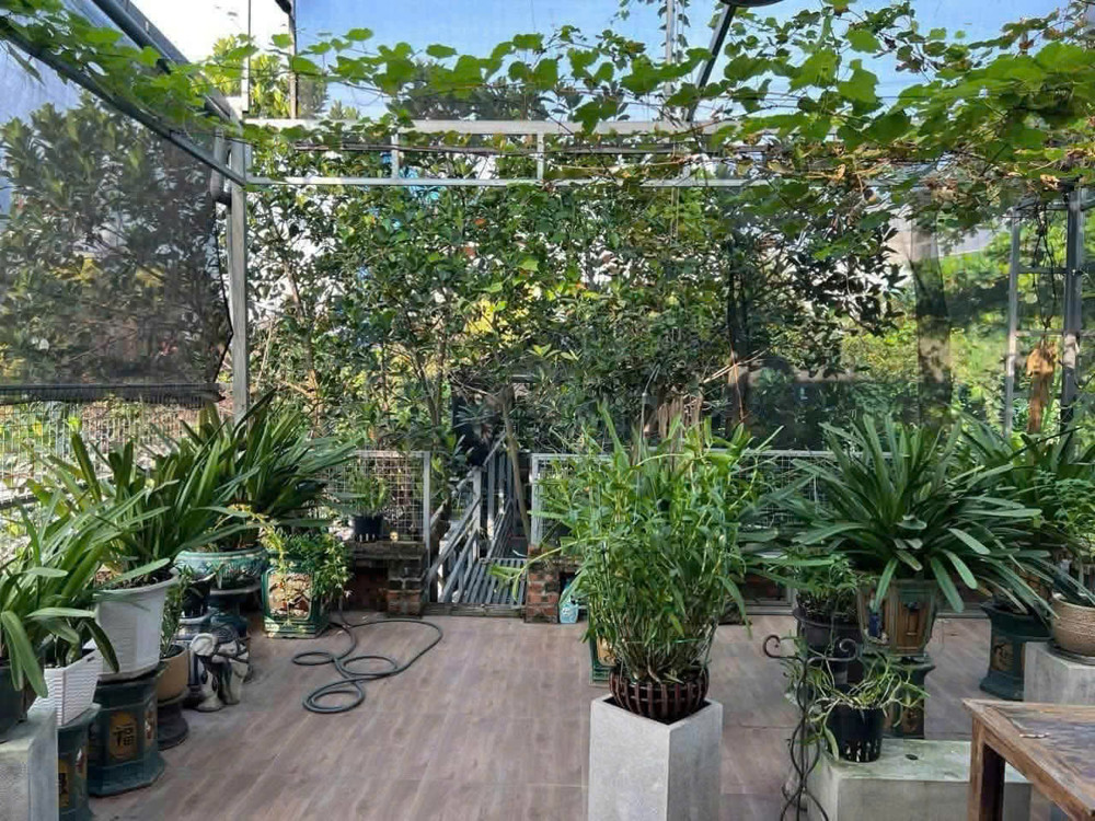 Cho Thuê Biệt Phủ Sân Vườn Quảng An – Tây Hồ 200M² × 2 Tầng 25 Triệu/tháng