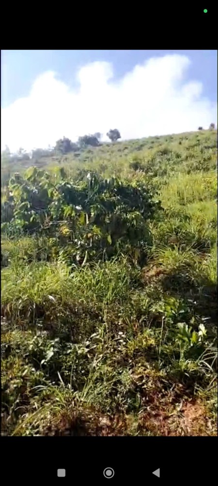 Đất Đỏ Bazan – Bán 2 Lô – Làng Somei, Xã Đăk Somei, Huyện Đăk Đoa, Gia Lai