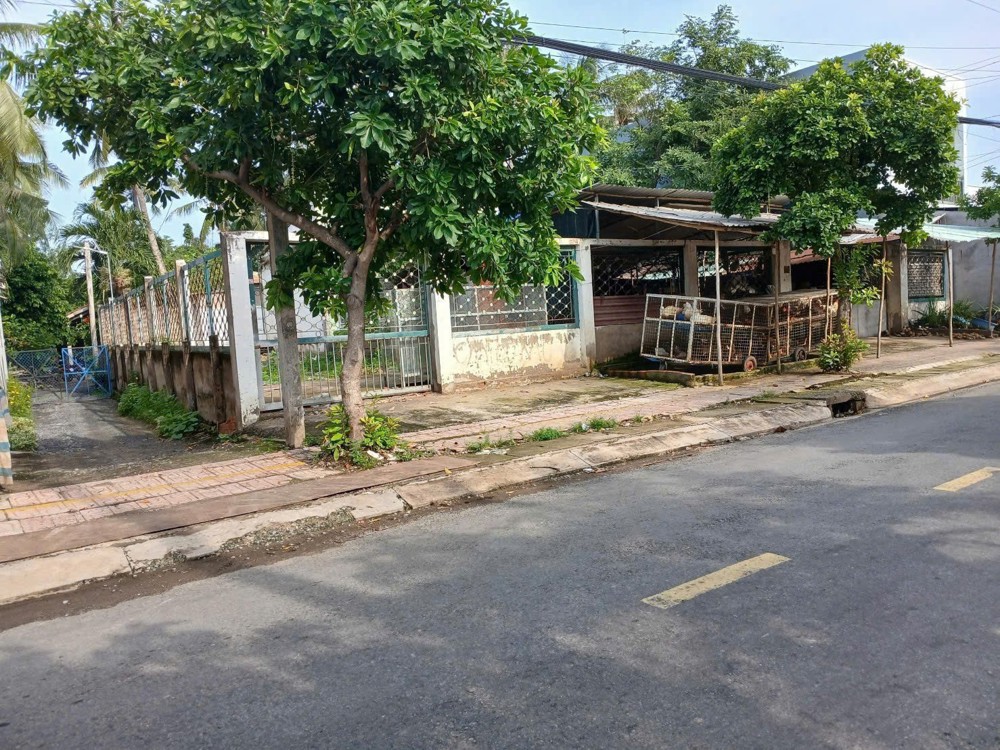 Đầu Tư Sinh Lời – Chính Chủ Cần Bán 3 Lô Đất Xã Phước Vân, Cần Đước, Long An