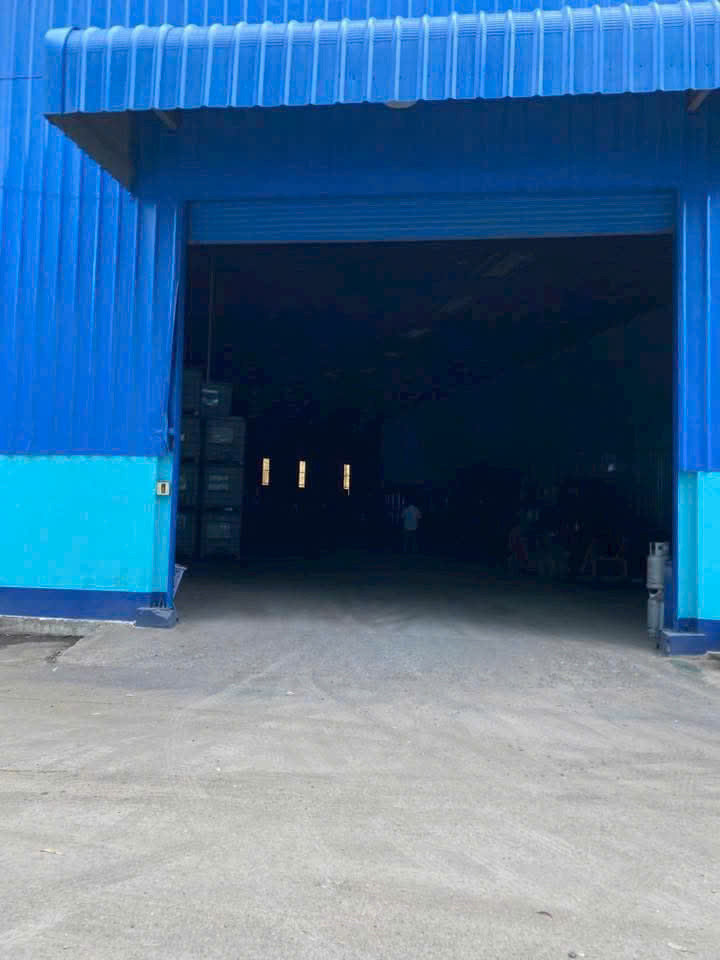 Kho Xưởng Chuẩn Logistics Ngay Cầu Vượt Bình Phước – Xe Container Đậu Cửa