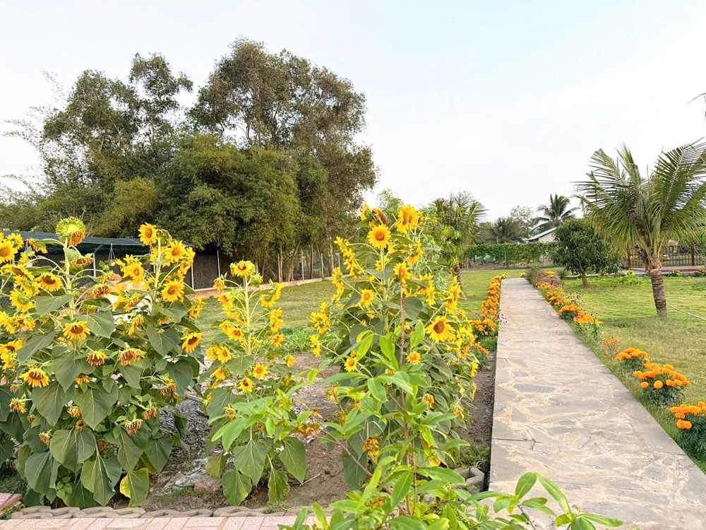 Cần Bán 2200M2 Nhà Vườn Nghĩ Dưỡng Hẻm Xe Hơi Tới Nhà