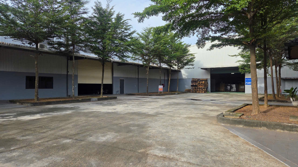 Xt212 Cho Thuê Sản Xuất Nhà Xưởng Lâu Dài, Khung Thép Lớn Thích Hợp Sx Cơ Khí. Giao Liền
