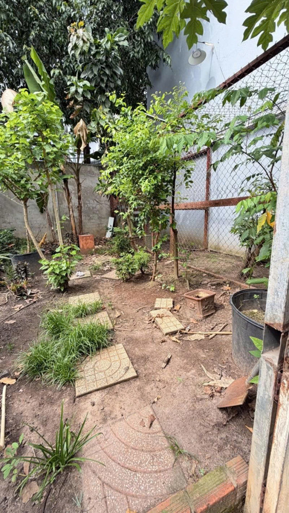 Bán Đất - Hẻm Nhựa 10M Lũy Bán Bích, Gần Âu Cơ - Bàu Cát, 10X15m, Full Thổ, Sổ A4, 15 Tỷ