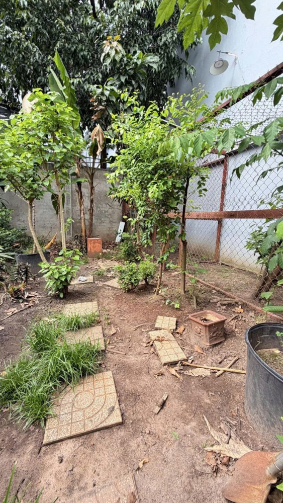 Bán Đất - Hẻm Nhựa 10M Lũy Bán Bích, Gần Âu Cơ - Bàu Cát, 10X15m, Full Thổ, Sổ A4, 15 Tỷ