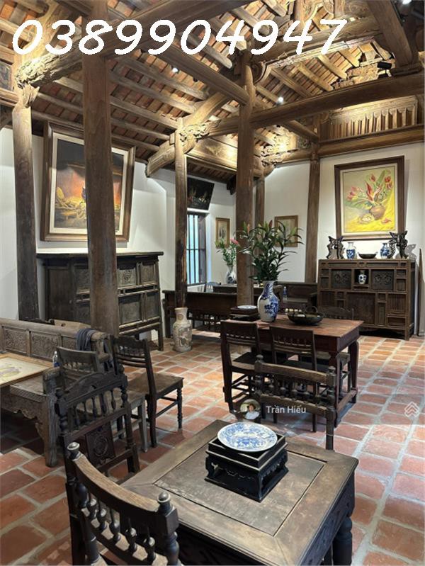 Cho Thuê Nhà Vườn Phố Cổ Mặt Tiền Đường Mạc Đỉnh Chi Khu Bàn Cờ Trung Tâm Nha Trang – Diện Tích Đất