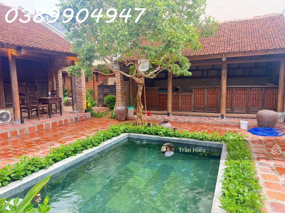 Cho Thuê Nhà Vườn Phố Cổ Mặt Tiền Đường Mạc Đỉnh Chi Khu Bàn Cờ Trung Tâm Nha Trang – Diện Tích Đất