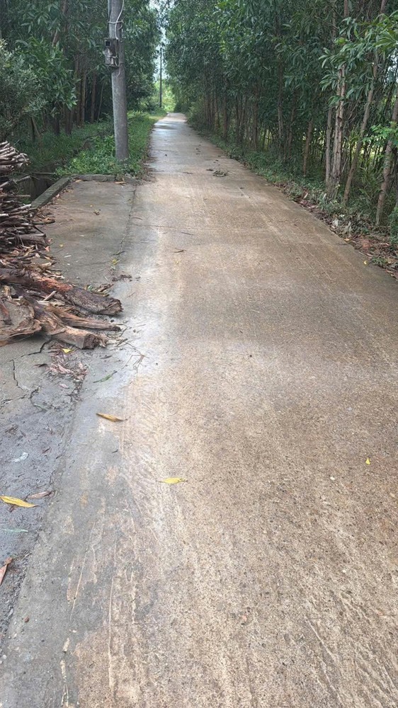 Đầu Tư Sinh Lời - Chính Chủ Cần Bán 2 Lô Liền Kề Khu Vực Tân Lộc, Tân Thủy, Lệ Thủy, Quảng Bình