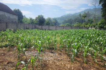 Bán Gấp Đất Nền 570m2 Nam Phương Tiến, Chương Mỹ - Giá 4 Tỷ