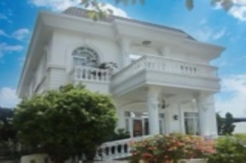 Vila Mặt Tiền Đường Đoàn Nguyễn Tuấn, Bình Chánh - 6910m2, Thổ Cư - Giá Tốt