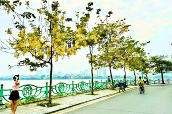 Siêu Hiếm Mặt Hồ Tây - Biệt Thự 7 Tầng, Giá 32 Tỷ