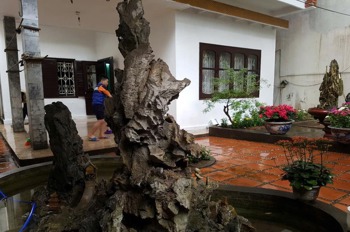 Bán Đất Xây Căn Hộ Dịch Vụ, Nhà Vườn Trung Tâm Quận Hai Bà Trưng - Vị Trí Đắc Địa
