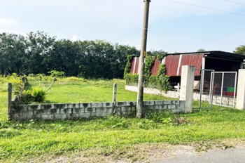 Bán Đất Nền Củ Chi 1145m2 - Nở Hậu, Thổ Cư, Vị Trí Đắc Địa