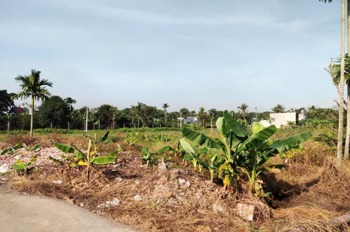 Bán Đất 2 Mặt Tiền Bình Mỹ, Củ Chi - 2700m² Full Thổ Cư, Giá Tốt