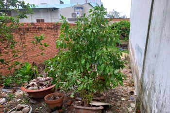 Đất Nở Hậu Nguyễn Thị Búp, Quận 12 - 72m2, Giá 3.2 Tỷ (TL)