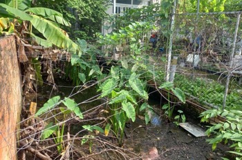 🔥 Giảm 50 Triệu - Đất Thạnh Lộc, Q12 - 96m2, 4x24m, Giá 3.35 Tỷ