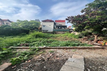 Lô Đất 100m² Đông Anh - Vị Trí Vàng, Tiềm Năng Sinh Lời