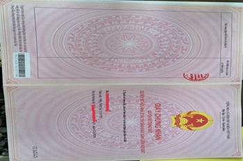Căn hộ HQC Plaza Bình Chánh: Giá 1.25 tỷ, Sổ Hồng Riêng, 2PN