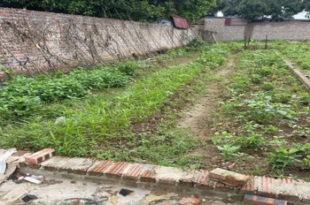 Bán Lô Đất Vị Trí Đắc Địa Gần Chợ Mun, Trường Học, Tiện Ích Ngút Ngàn