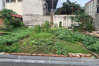 Bán đất Đông Anh Kim Chung giá đầu tư - Gần trường cấp 3 Bắc Thăng Long