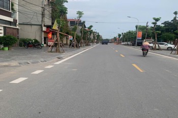 Đất Nam Hồng - Đông Anh: Đầu Tư Sinh Lời, Vị Trí Đắc Địa