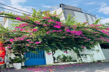Nhà Phố Địa Trung Hải - Võ Văn Ngân, Thủ Đức - Thiết Kế Độc Bản, Giá Tốt