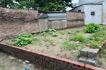 🍀 Bán Đất 51m2 Mạnh Tân, Thuỵ Lâm - Sát Phố, Tiện Ích Vượt Trội