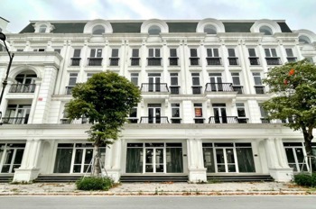 Đẳng Cấp Hàng Hiếm - Louis City Đại Mỗ: Đầu Tư Sinh Lời, Thiết Kế Sang Trọng