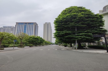 Bán Biệt Thự Vượng Lộc, Gần Aeon Mall - 177m² - Giá Tốt