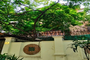 Biệt Thự Phố Đỗ Quang 264m2 x 5 Tầng, Mặt Tiền 17m - Cầu Giấy