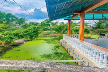 Nhà Vườn Nghỉ Dưỡng Tân Thạnh Đông - Củ Chi: 2240m2, 4PN, Giá 15 Tỷ