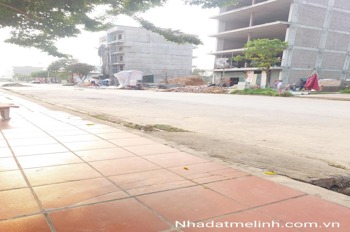 Bán đất nền dự án Cienco 5 Me Linh - Sổ đỏ sẵn sàng, vị trí đẹp