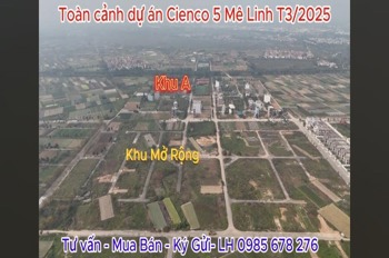 Bán Liền Kề Cienco 5 Mê Linh - Vị Trí Đắc Địa, Giá Tốt