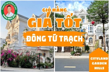Biệt Thự Góc Cityland Gò Vấp: Vị Trí Phong Thủy, Giá Tốt Nhất