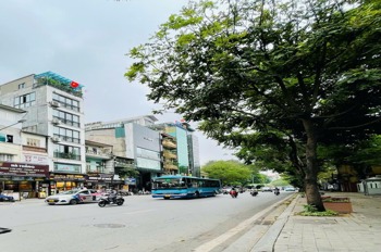 Bán Nhà Mặt Phố Nguyễn Thái Học 220m2 - Pháp Lý Sạch, Giá Tốt