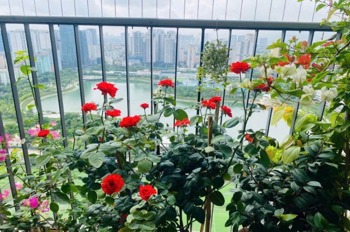 Bán 2PN Vinhomes D’Capitale: View Hồ, Full Đồ, Giá Tốt