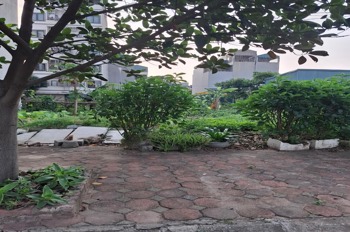 Đất Liền Kề Hà Đông Rẻ Nhất: Phân Lô Vuông Vắn, Vỉa Hè Ô Tô Đỗ - 10 Tỷ