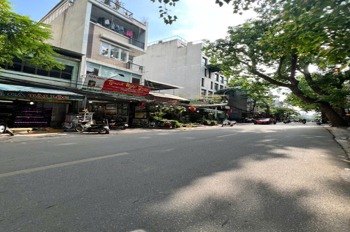 Mặt tiền Kinh Doanh Đỉnh Cao - Phan Kế Bính - 50 Tỷ