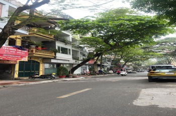 Hiếm Có Mặt Phố Đẹp - 45m² Kinh Doanh - Vị Trí Đắc Địa Bế Văn Đàn