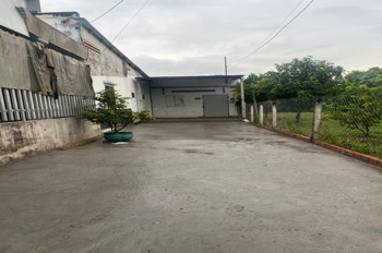Chính Chủ Bán Đất Củ Chi - Full Thổ Cư, SHR - Ngân 6.5m, Gần Mặt Tiền