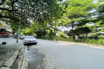 Bán Gấp Nhà Phố Đường Bưởi Ba Đình 23m - Giá Tốt