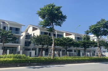 Cho Thuê Biệt Thự Dương Nội - Vị Trí Đẹp, Giá Tốt, Miễn Phí Đến 5 Tháng